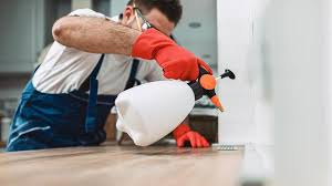 Best Real Estate Pest Inspections  in Ventress, LA